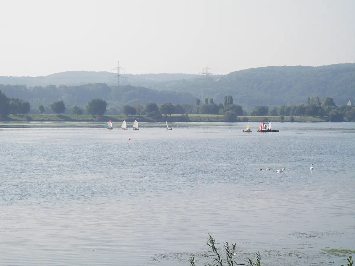 Eine weite Wasserfläche mit kleinen weißen Segeln und einigen Schwänen, dahinter Bäume am Ufer und dunstige Hügel mit Strommasten.