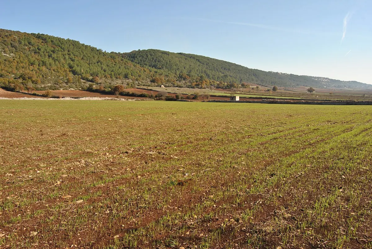 Blick in den Canale di Pirro, die Landschaft im Umfeld der Hügel bei Cocolicchio.