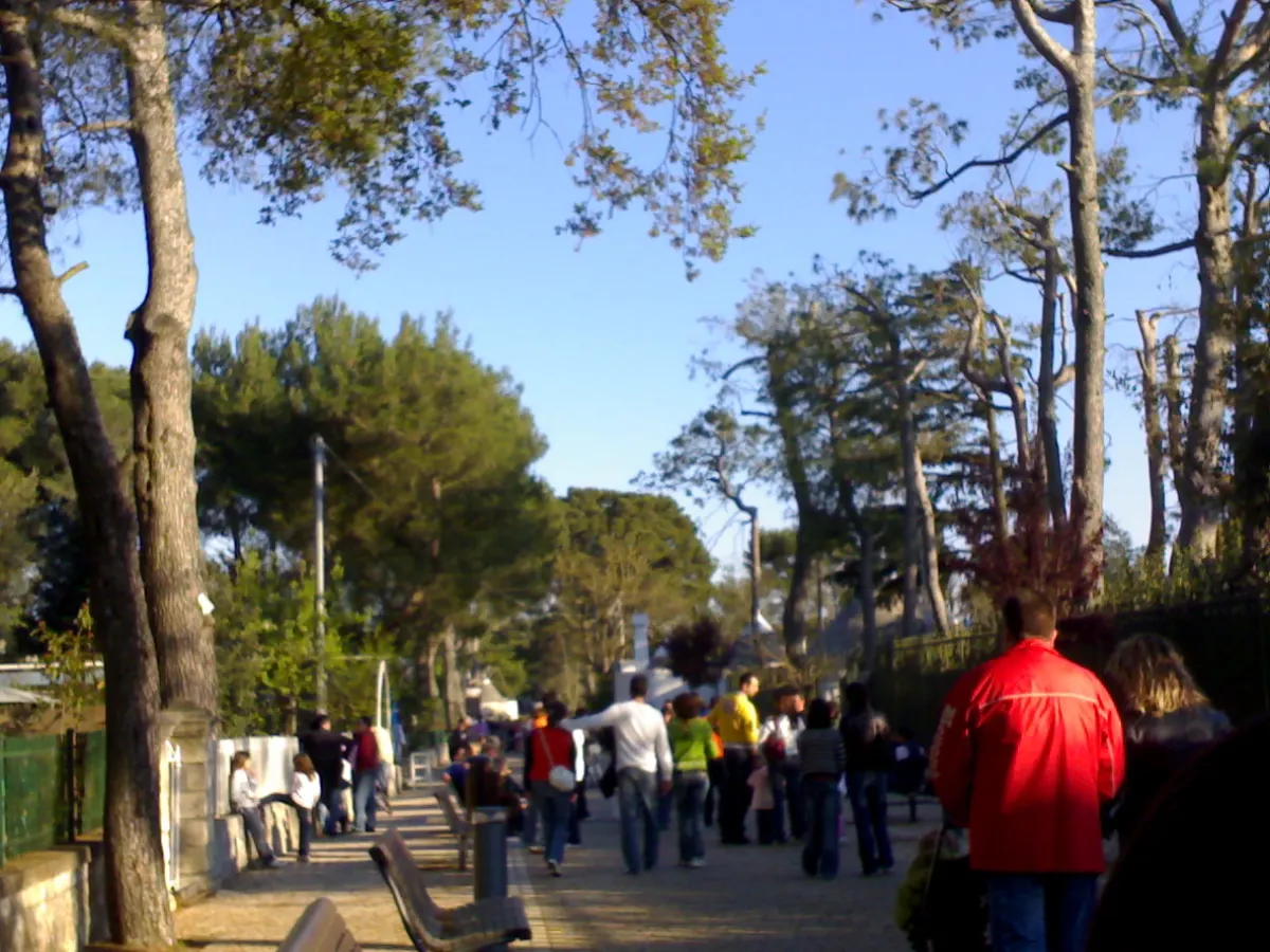Viale Toledo in Selva di Fasano. Die Aufnahme zeigt einen früheren Zeitpunkt.